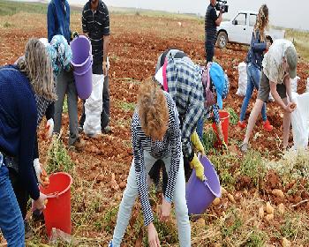 Ataoğlu: Tarımsal Turizmin  Gelişmesi İçin Çalışmalar Sürüyor
