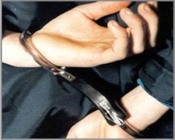 Hint keneviri yetiştiren 3 kişi tutuklandı