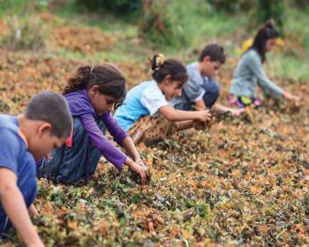 Hindistan'da Çocuk İşçiliği Tasarısı Tepki Çekti