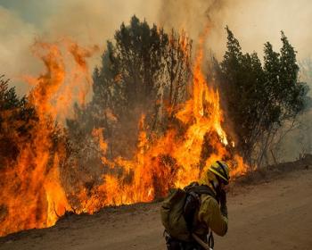 Santa Cruz Dağları'ndaki Orman Yangını