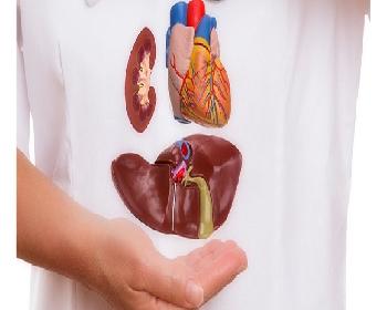 Sağlık Bakanlığı’Ndan Organ Bağışı Kampanyası..  Bugüne Kadar 511 Kişi Bağışçı Oldu