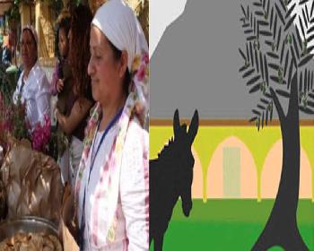 15 Mayıs’Taki Eko Gün İptal