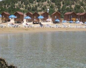 2 İşletme Mühürlendi