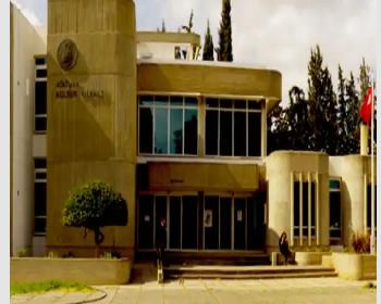 Alev Erlat Afacan&#8217;ın Resim Sergisi Bugün Açılacak