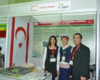 Araçların Hareketinden Enerji Üreten Kasisler