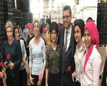 Başbakan Erhman, Kadın Çalışanları Ziyaret Etti