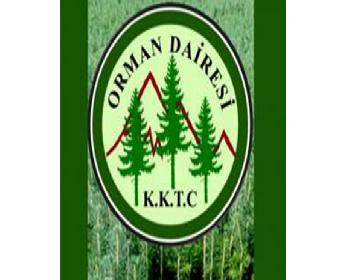 Çam Kese Böceği Haberlerine Tepki