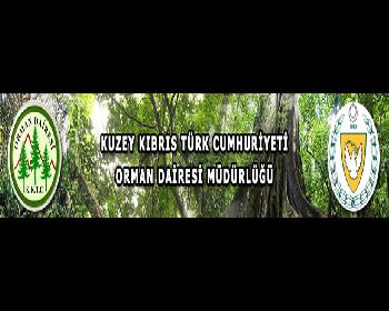 Çam Kese Böceği İle Mücadele Sürüyor