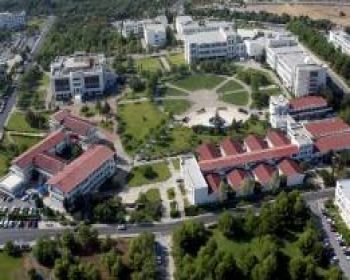 DAU üç lisans ve üç önlisans programları için YÖK den onay aldı