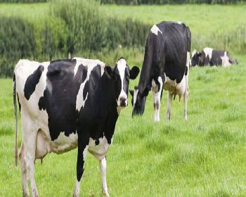 Düşük Tazminatları Ödendi