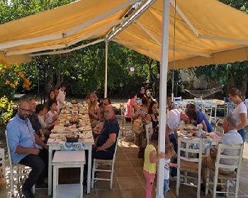 Eğitim Temalı Satranç Turnuvası