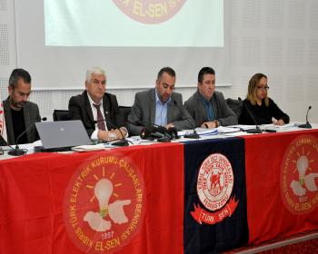 El-Sen, Elektrik Zammının Geri Alması, Kıb-Tek’E Yeni Yönetim Atanması Konusunda Hükümete Süre Verdi (2-Son)