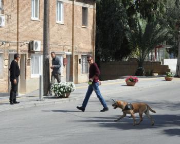 Gönyeli Eski Belediye Binası Önü Otobüs Durağındaki Şüpheli Çanta Bomba Uzmanları Tarafından Patlatıldı