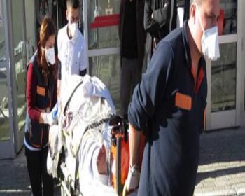 Güneyde Domuz Gribinden İlk Ölüm