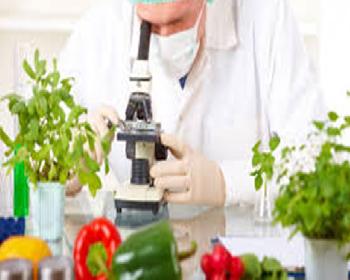 Haftalık Gıda Denetim Sonuçları Açıklandı