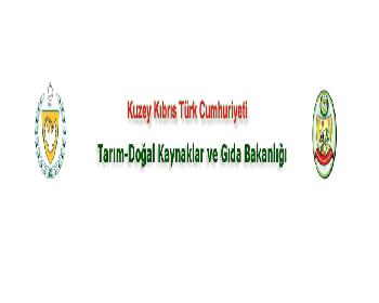 Hükümette Mini Elektrik Zirvesi