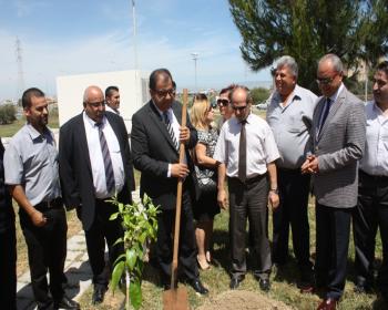 Kamu-Sen, Gazimağusa Devlet Hastanesi’Nde 41 Meyve Fidanı Dikti