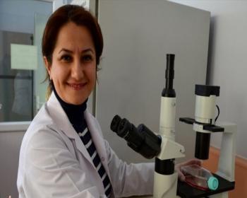Kanser Hücrelerini Yok Eden 3 Bileşik Buldu