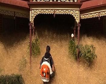 Kasabayı 2 Metrelik Çalılar Bastı