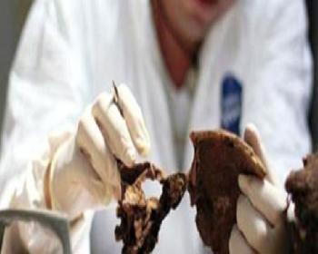 Kayıp Şahıslar Komitesi’Ne Katkı