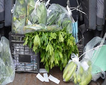 Kaysı Ve Armutta Pestisit