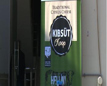 Kıb-Süt Üretime Başladı