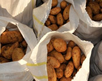 Kktc’Den Patates Alıp Yurt Dışına Satan Rum Tüccar Protesto Edildi