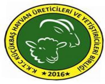 Küçükbaş Hayvan Üreticileri Ve Yetiştiricileri Birliği: “Gerçek Hellim Üretmek İsteyenlerle İşbirliğine Hazırız”