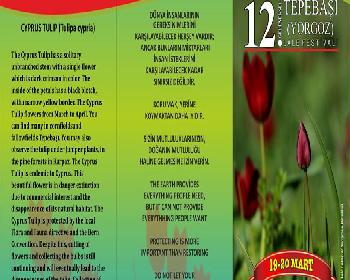 Lale Festivali Başlıyor