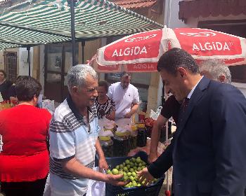 Lefke Ceviz Festivali Bugün Başladı