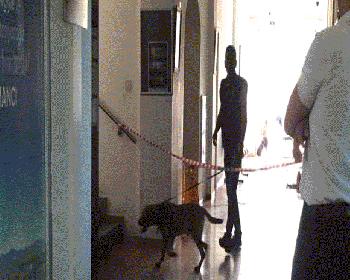 Lefkoşa Türk Belediyesi’Nde Bomba Paniği!