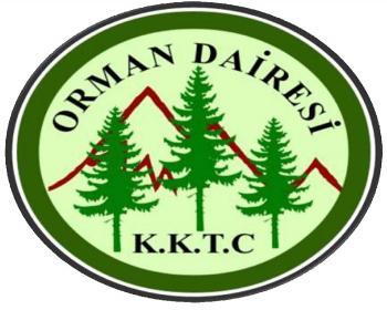 Orman Dairesi, Çam Kese Böceği Konusunda Açıklama Yaptı