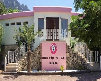 Pembe Köşk Psikiyatri Hastanesi Açıldı