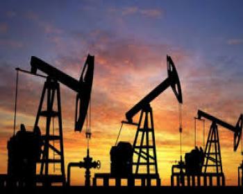 Petrol Fiyatlarındaki Düşüş Bakan Maaşlarını Da Vurdu