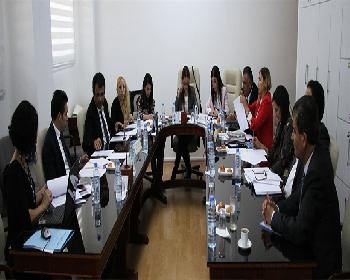 Seçim Ve Halkoylaması (Geçici Kurallar) Yasa Tasarısı Komiteden Geçti