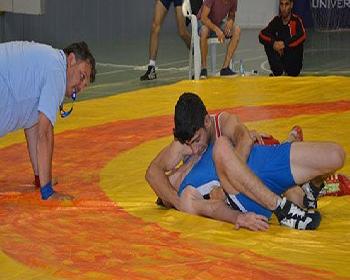 Şemmedi İçin Güreşecekler