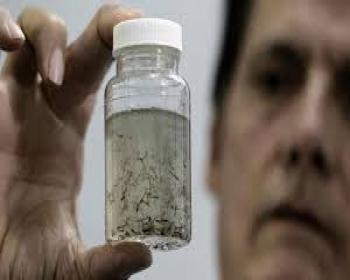&#34;zika Virüsü İnsanlara Uyum Sağlıyor&#34;