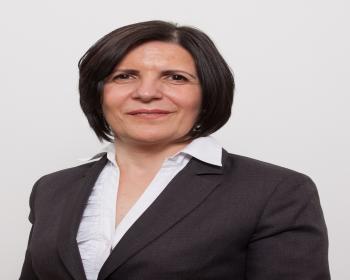 Sibel Siber Başkanlığındaki Meclis Heyeti Bu Akşam Ankara’Ya Gidecek