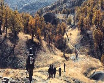 Siirt’Te Pkk’Ya Operasyon