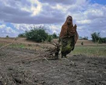 Somali&#39;de 6,2 Milyon Kıtlık Tehdidi Altında