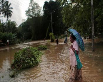 Sri Lanka&#39;daki Sel 