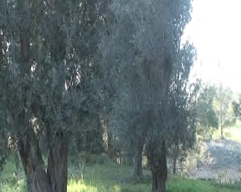 Tarım Dairesi’Nden Eğitim
