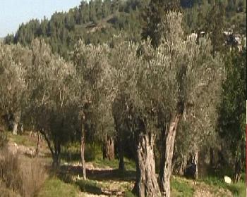 Tarım Dairesi&#8217;nden Tarla Günü Ve Gece Eğitimi