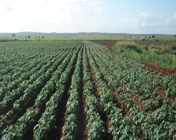Tarım Sektörünün Vizyonu Yeniden Belirlendi