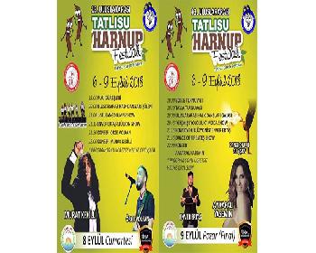 Tatlısu Harnup Ve Halk Dansları Festivali Devam Ediyor
