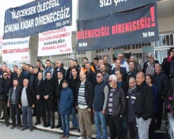 Tel-Sen Eylemlerini Gazimağusa’Da Sürdürdü