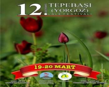 Tepebaşı Lale Festivali 19-20 Mart’Ta Yapılacak