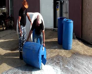 Üreticiler Sütleri Yere Döktü