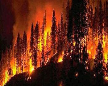 Yangın Kontrol Altına Alınamıyor