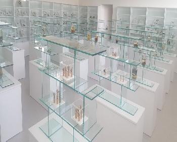 Ydü Herbaryum Merkezi Müzeye Dönüştürüldü